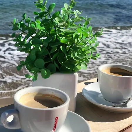 Beach Club Night Club 5*