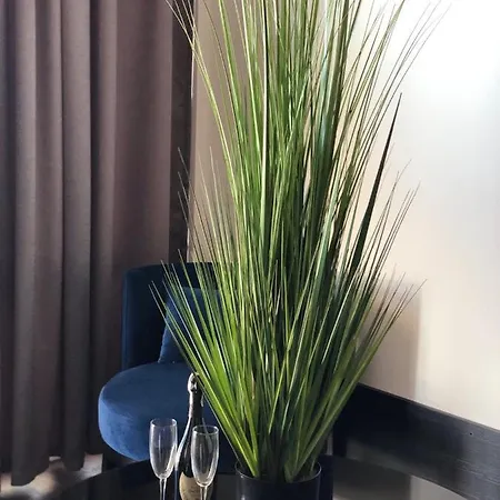 Beach Club Night Club