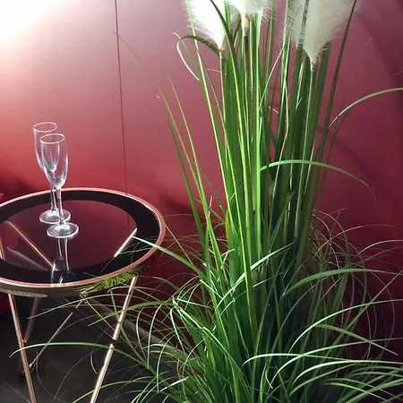 Hotel Beach Club Night Club Odesa