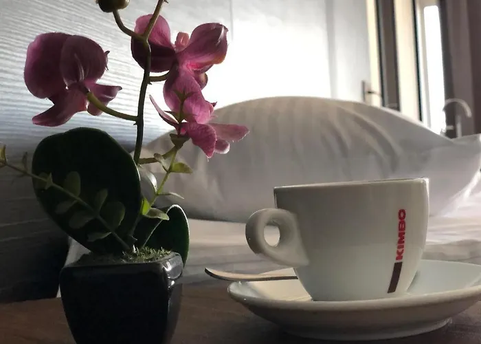 Beach Club Night Club Odesa