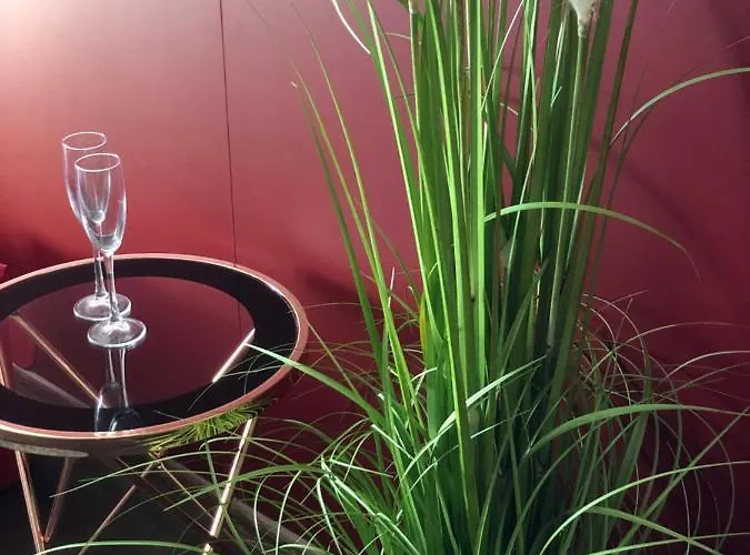 Hotel Beach Club Night Club Oděsa