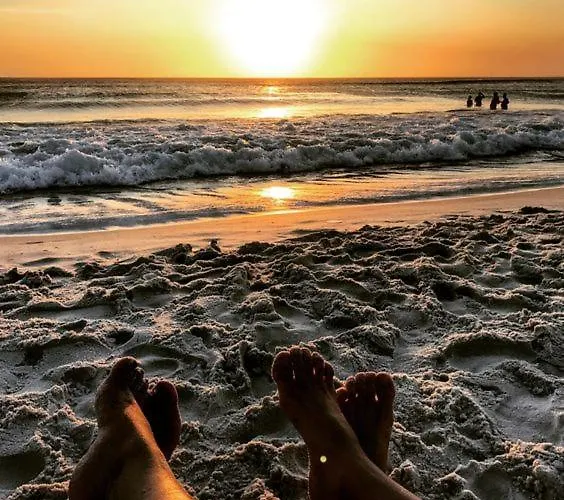 Beach Club Night Club Hotel