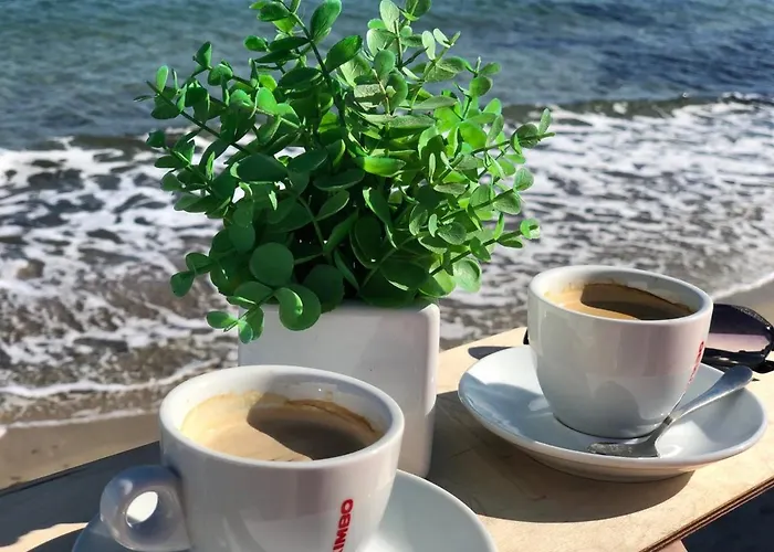 Beach Club Night Club 5*