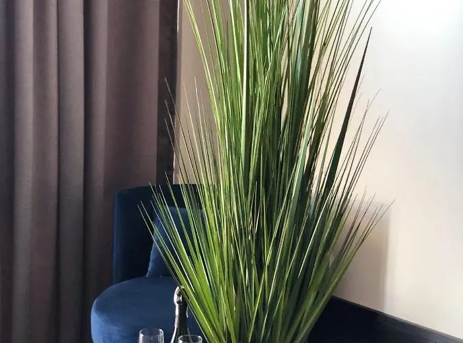 Beach Club Night Club