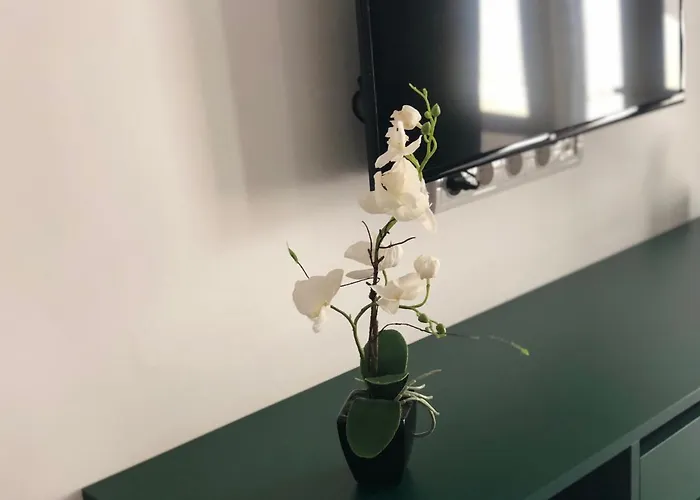 Beach Club Night Club 5*