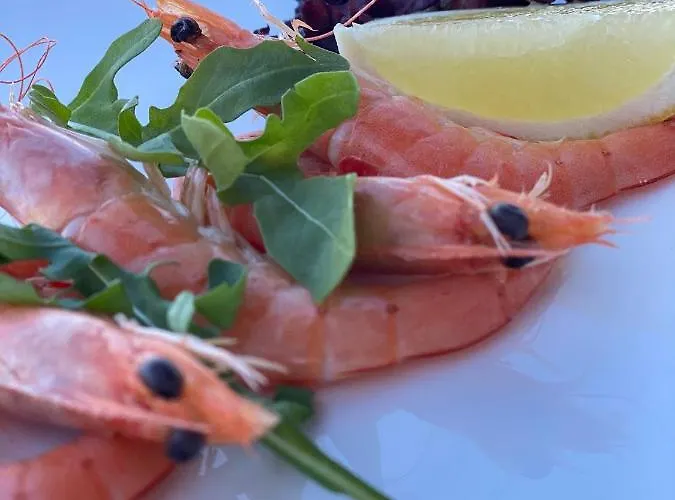 Beach Club Night Club